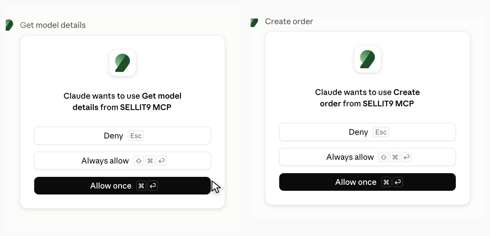 Claude asking permission before reading model details and again before creating the order